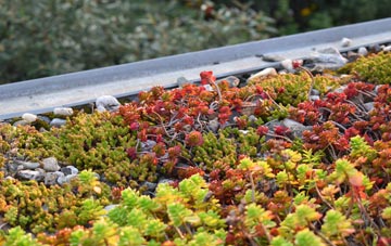 the cost of Lea Heath green roof installation