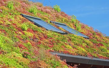 Lea Heath living roof systems