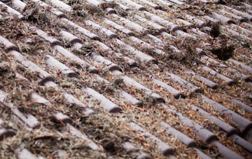 Lea Heath roof cleaning companies