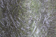 Lea Heath fibreglass roof work